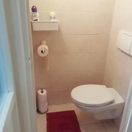 55+ Appartement Midden In Het Centrum *